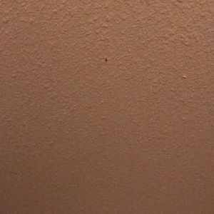 Meet your Posher, Yolanda